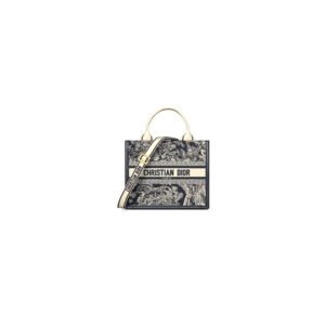 Small Dior Book Tote