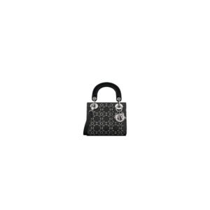 Mini Lady Dior Bag